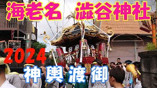 令和６年　海老名市門沢橋　🌸 澁谷神社 例大祭 🌸　《 神 輿 渡 御 》