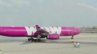 Passengers On Wow Air Say Flight To Europe Canceled \u0026 They’re Stuck In South Florida