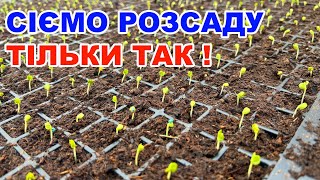 Як сіяти баклажани, помідори  та перець в домашніх умовах ?