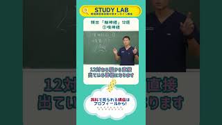 脳神経12選「①嗅神経」看護師国家試験対策 オンライン講座｜STUDY LAB#看護学生 #看護師国家試験 #看護師 #脳神経