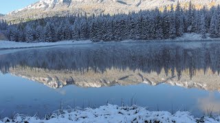 Beaver Lake: Mont Royal's Tranquil Alpine Oasis