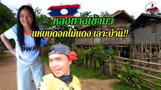 หลงทางมา!! ชมหมู่บ้านเก่าแก่ กลางหุบเขา ในชนบทลาว / เที่ยวลาว วิถีลาว