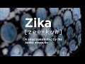 Developing a Vaccine for Zika | UConn