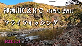 2022秋「神流川C＆R」/夫婦でフライフィッシング/紅葉の中でハコスチと遊ぶ