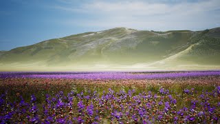 Castelluccio di Norcia (Umbria, Italy) - VEE Experience