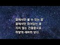 김호중 백화 가사첨부 송광호노래교실