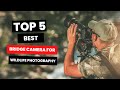 Best Bridge Camera For Wildlife Photography: Our Top Picks