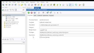 sapp programming