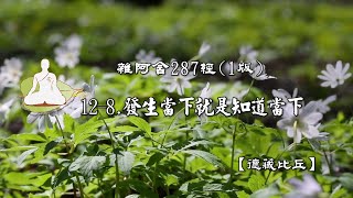 雜阿含287經(1版)12-8.發生當下就是知道當下[德藏比丘]