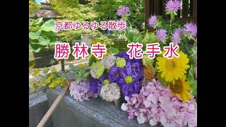 京都 勝林寺 花手水 2021年7月