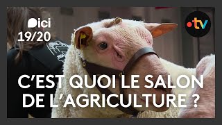 C'est quoi le Salon International de l'Agriculture aujourd'hui ?