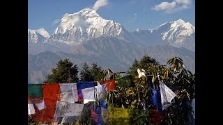 The Next Himalayan Megaquake