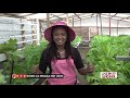 Dziko la Mkaka ndi Uchi - 3 September 2020