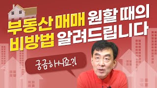 안팔리는 땅을 파는 방법!! ''부동산 매매 원하시면 이 영상을 보면 됩니다'' [용인점집 거북당]