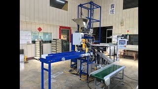 P300TS Rotary Type Fully Auto Packing Machine (全自動旋轉式計量包裝機)