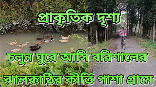 Let's visit Kirtipasha village in Jhalokati, Barisal. Landscape of the village.