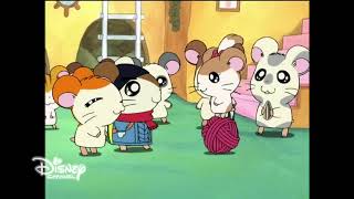 Hamtaro On Disney Channel Tawian [March 21st 2019] (Totally Real And Rare)