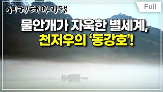 [Full] 세계테마기행 - 중국 남부 핫 플레이스- 무릉도원으로, 장자제