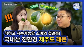 [착지프로젝트3] 신한카드와 함께 착하고 지속가능한 소비를 위한 첫걸음! 국내산 제주도 레몬편🍋