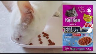 【カルカン/Kal Kan】下部尿路キャットフード(ドライ)実食レビュー