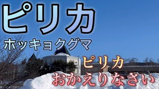 2025/1/28 ピリカおかえりなさい…（ピリカには会えませんでした）