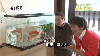 山形放送 ピヨ卵ペットショー