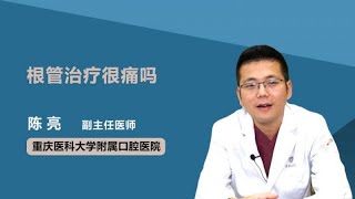 根管治疗很痛吗 陈亮 重庆医科大学附属口腔医院