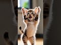 this dance will make you laugh cat cute pets funny 😸 shorts