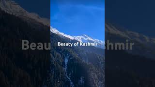 Beauty of Kashmir #beautiful #nature #naturelover #kashmir