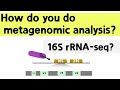 (ENG) How does 16S rRNA-seq work?