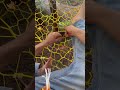 chaos weaving with paracord. 17th day spacenet treenet treehouse asmr weave adventure trees