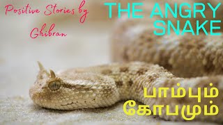 Tamil Short Stories  பாம்பும் கோபமும்  The Angry Snake  Positive Stories By Ghibran Tamil Story