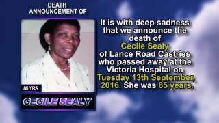 Cecile Sealy short