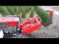 yanmar ymd 50 rootballing machine