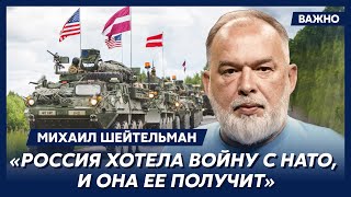 Шейтельман: Франция введет войска в Украину, а за ними и поляки подтянутся