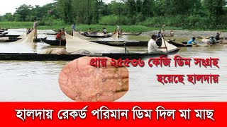 দেড়যুগ পর হালদায় এবার প্রায় ২৫৫৩৬ কেজি ডিম সংগ্রহ হলো | Halda River | Cskytv