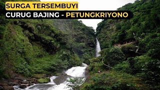 AIR TERJUN EKSOTIS SETINGGI 75 METER || Curug Bajing, Petungkriyono, Pekalongan