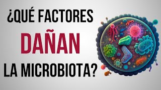 ⚠️ Metales Pesados y sus EFECTOS DIRECTOS en la Microbiota Intestinal - Mar Alonso