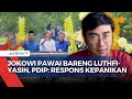 Presiden ke-7 RI Jokowi Pawai Bareng Luthfi-Yasin di Jawa Tengah, PDIP: Kepanikan