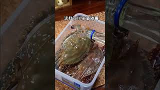 火爆餐厅的生腌海鲜，做法简单，鲜美又下饭。