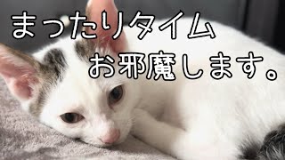 ミルクのまったりタイムのはずが…