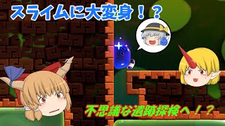 【ゆっくり実況】スーパーマリオブラザーズワンダー(W5)キンキン採掘場　仙人と魔法使いと妖怪たちの驚き冒険譚part19