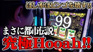 【究極Hooah!!!】正月に20万円勝っちゃったらどうなる？【一攫千金連続更新チャレンジin磯部】DAY3