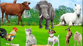 Farm Animal Sounds: Elephant, Cow, Horse, Chicken, Cat, Dog, Goat - Animal Sounds