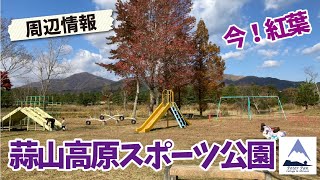 今が見ごろの蒜山の紅葉。子どもやワンちゃんとお散歩するならここ。岡山県蒜山を秋の紅葉ドライブで回る