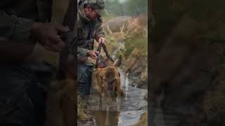 How Did This Deer Survive Being Trapped in a Muddy Ditch?