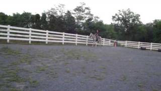 M4H07747.MP4