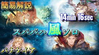 【簡易解説】スパバハ風ソロ 14分16秒 パナケイア | Super Ultimate Bahamut Wind Solo Iatromantis【GBF/グラブル】