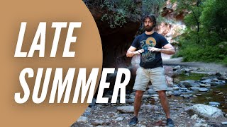 Qi Gong for Late Summer | Centering Qigong for Digestion, Worry, Stomach, & Spleen