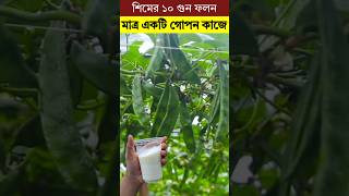 শিমের ১০ গুণ ফলন হবে - মাত্র একটি গোপন কাজে#trending #viralvideo #shortvideos